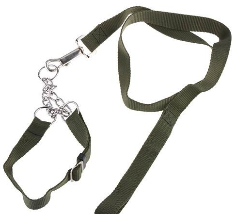 Army Green Collar with Leash for Dog Pet 1.2M - Click Image to Close